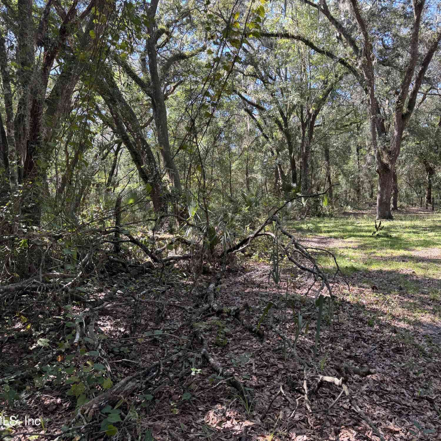 Vacant Land For Sale - 140 & 146 Cinnamon Drive<br/> Interlachen, FL 32148