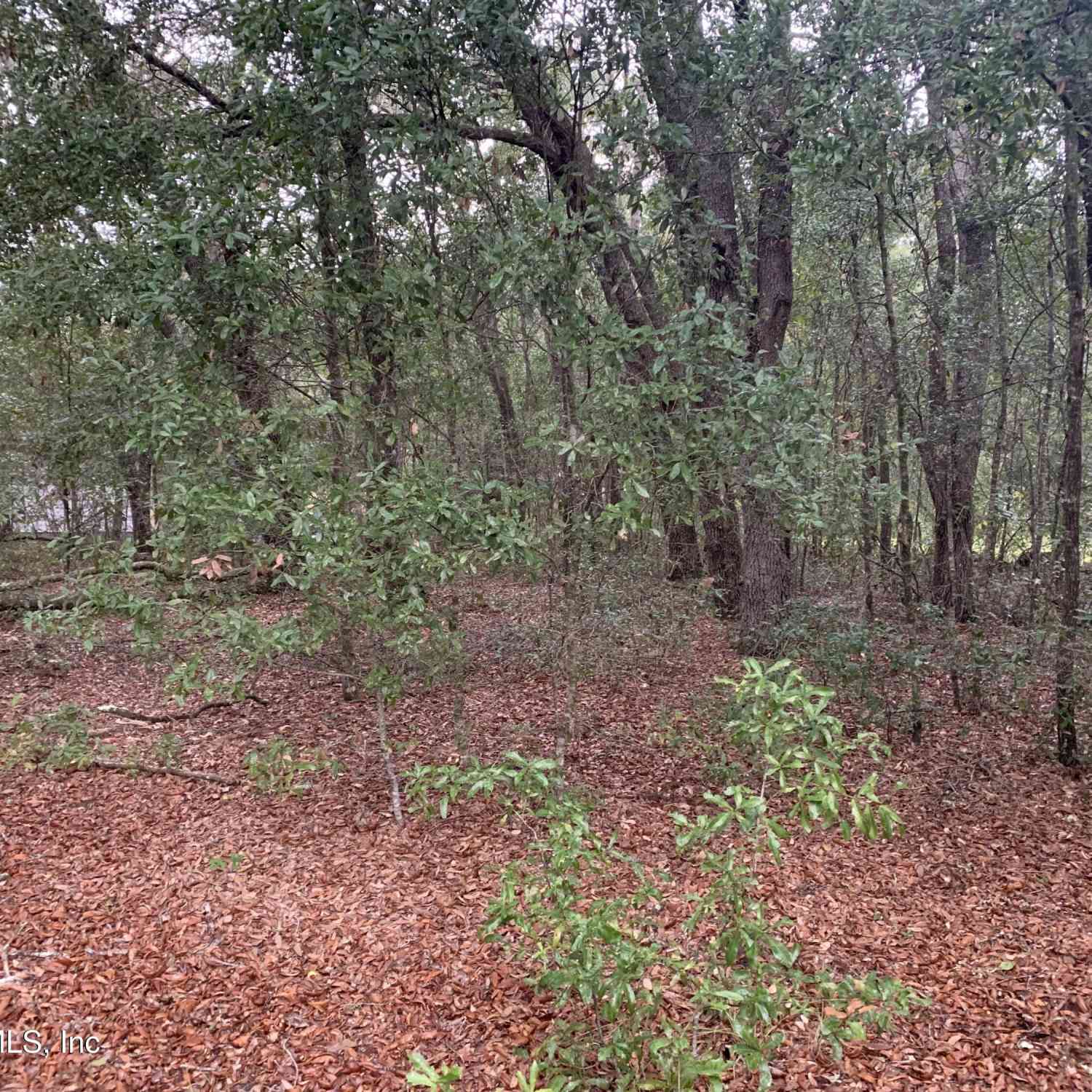 Vacant Land For Sale - 0250 Lenore Avenue<br/> Interlachen, FL 32148