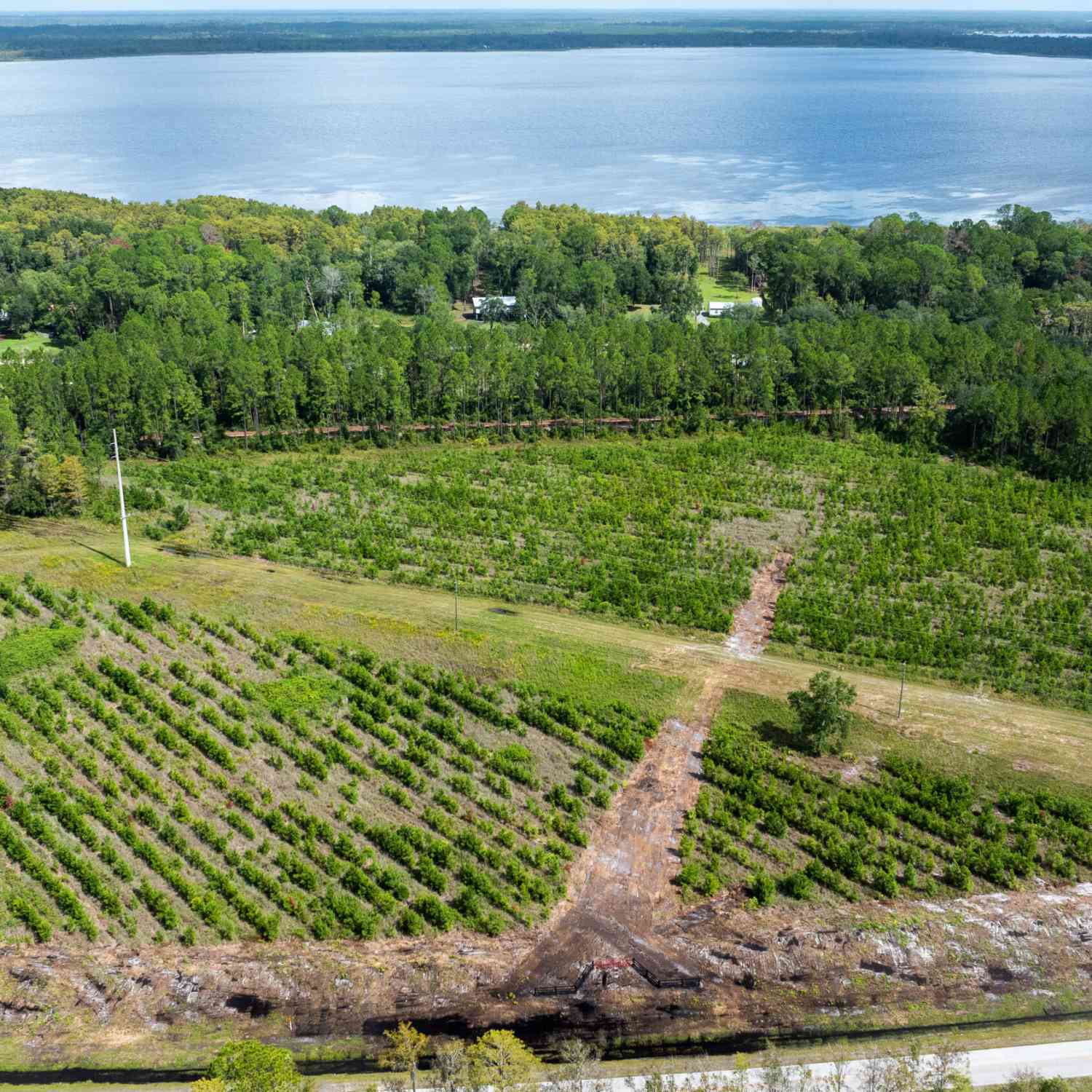 Vacant Land For Sale - LOT 8 SW County Road 225<br/> Starke, FL 32091