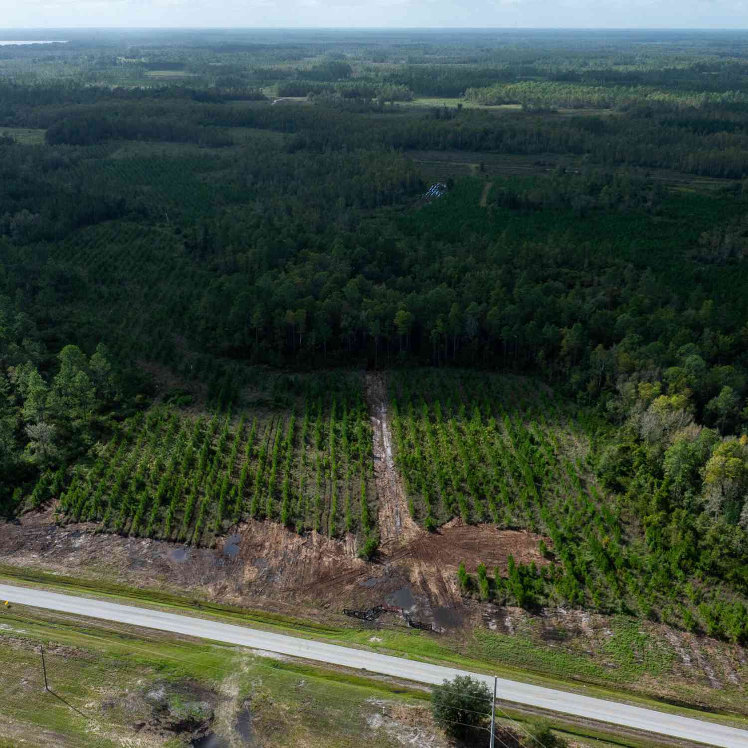 Vacant Land For Sale - LOT 12 SW County Road 225<br/> Starke, FL 32091
