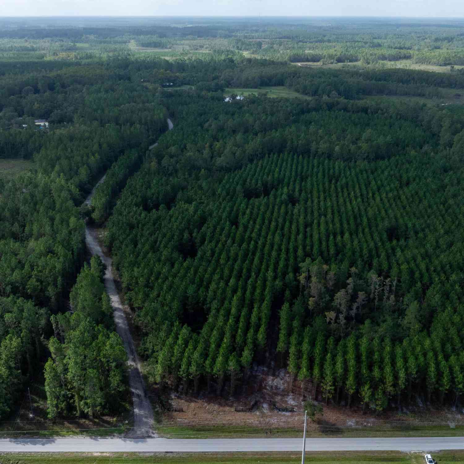 Vacant Land For Sale - LOT 14 SW County Road 225<br/> Starke, FL 32091