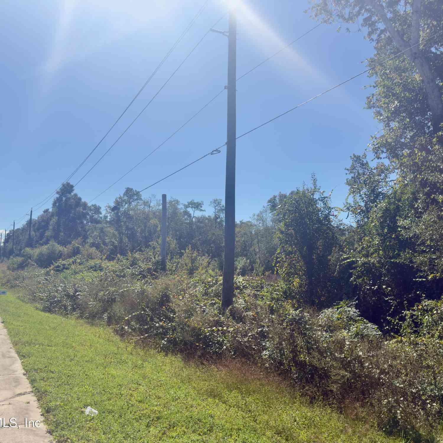 Vacant Land For Sale - 000 S S County Road 315<br/> Interlachen, FL 32148