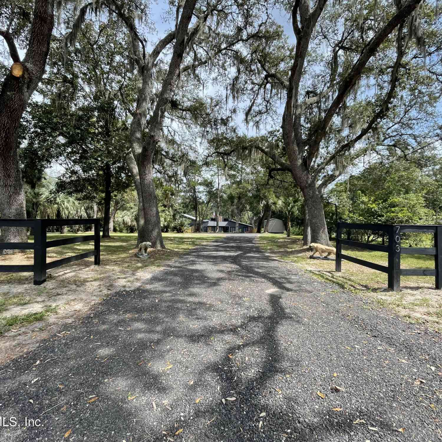 Homes For Sale - 703 Arthur Moore Drive<br/> Clay County, Green Cove Springs, FL 32043