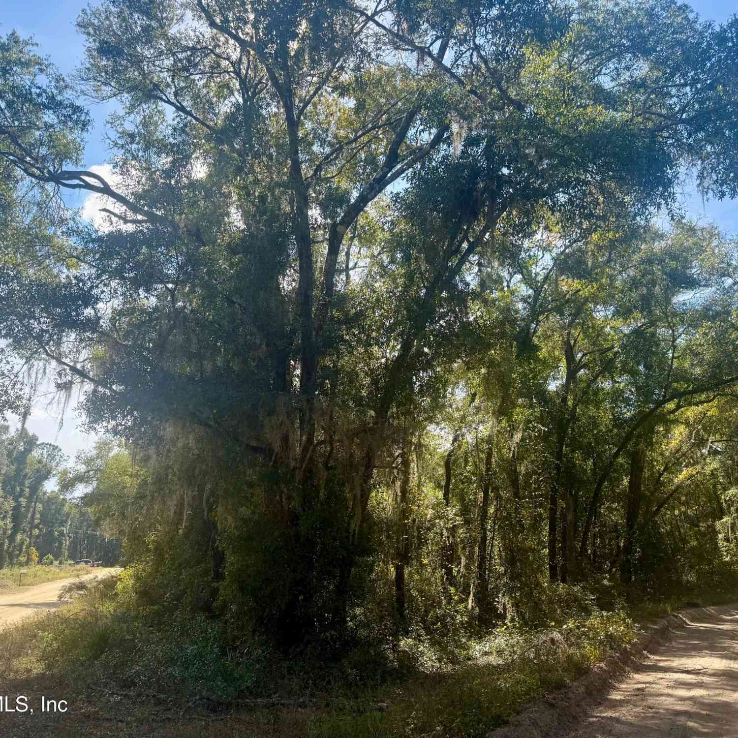 Vacant Land For Sale - XXX Evans Avenue<br/> Interlachen, FL 32148