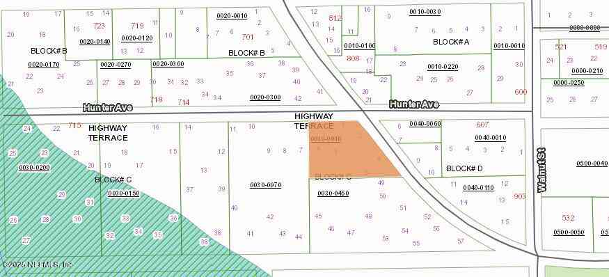 Vacant Land For Sale - 601 Citron Avenue<br/> Crescent City, FL 32112