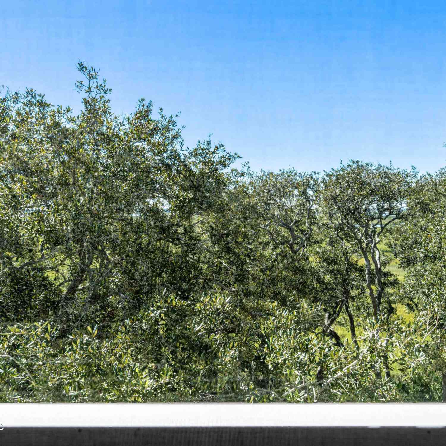 Condo For Sale - 215 Ocean Grande Drive #PH3<br/> Ponte Vedra Beach, FL 32082