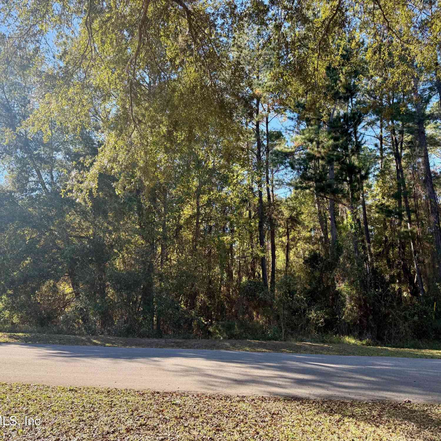 Vacant Land For Sale - 126 Ramsey Drive<br/> Putnam County, Grandin, FL 32138