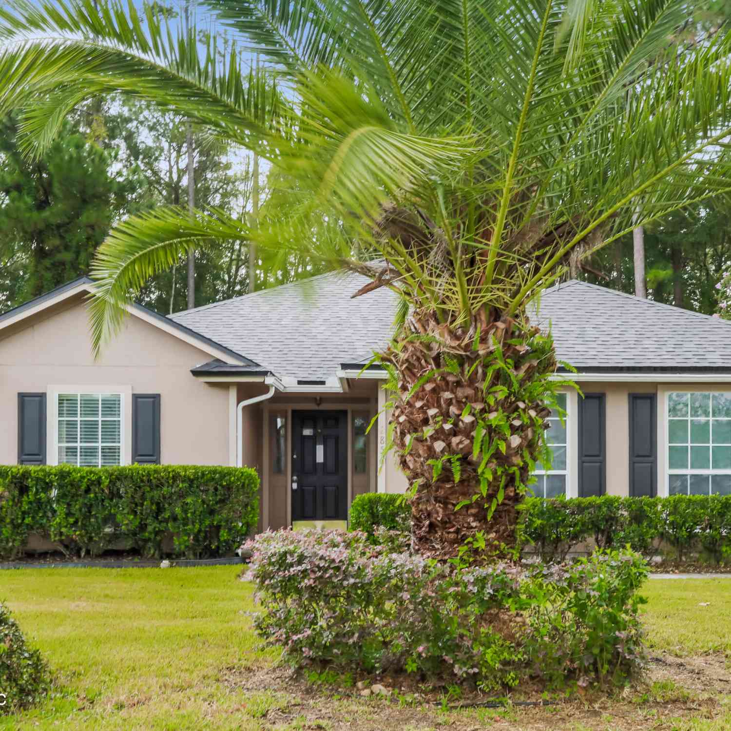 Homes For Rent - 2856 Tuscarora Trail<br/> Middleburg, FL 32068