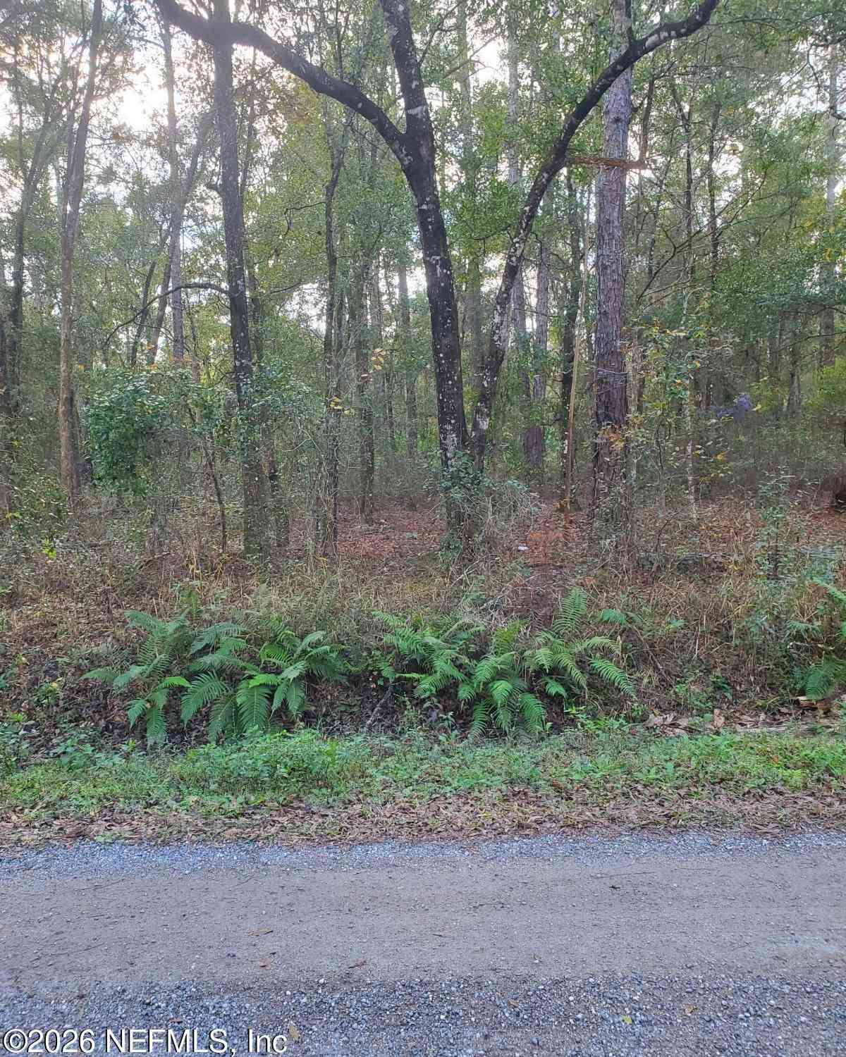 Vacant Land For Sale - 4825 Joseph Street<br/> Hastings, FL 32145