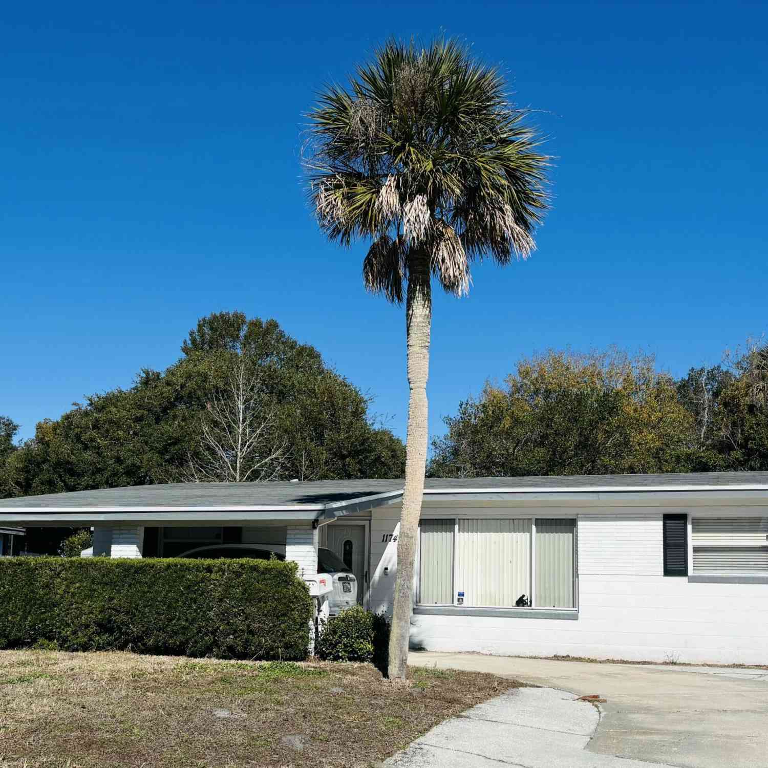 Homes For Sale - 11749 Surfwood Avenue<br/> Jacksonville, FL 32246