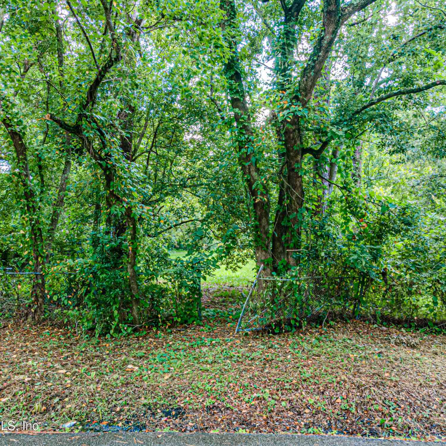 Vacant Land For Sale - Detroit Street<br/> Jacksonville, FL 32254
