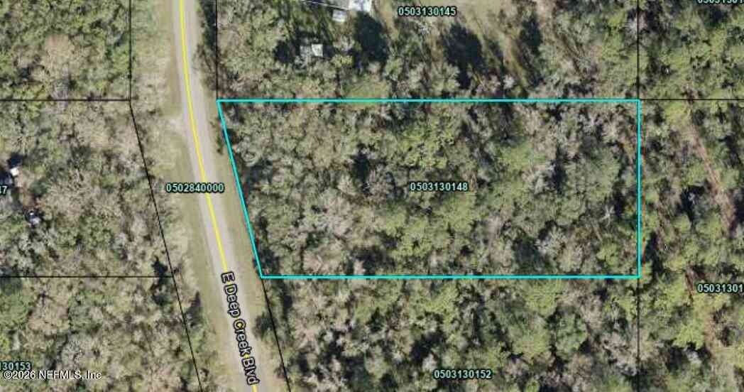 Vacant Land For Sale - 9770 E Deep Creek Boulevard<br/> Hastings, FL 32145