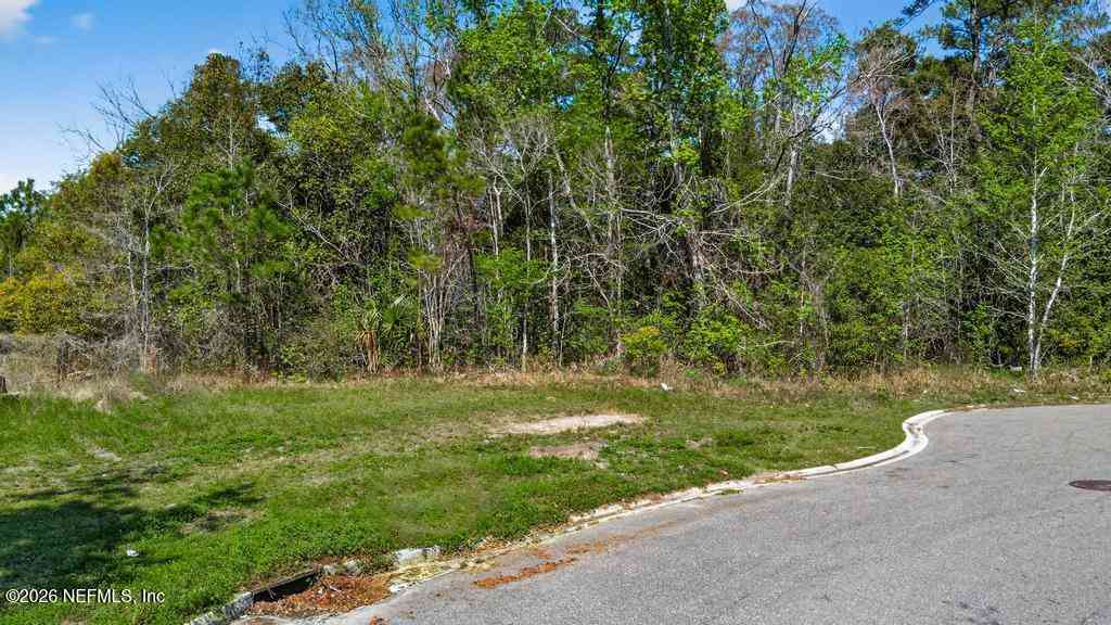 Vacant Land For Sale - Detaille Drive<br/> Jacksonville, FL 32209