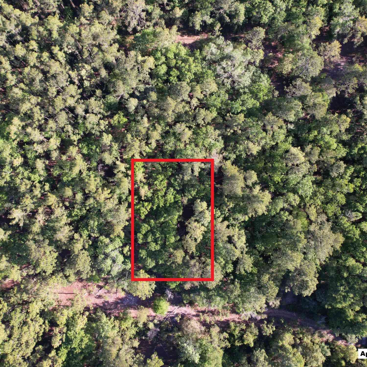 Vacant Land For Sale - 329 Chipola Drive<br/> Georgetown, FL 32139
