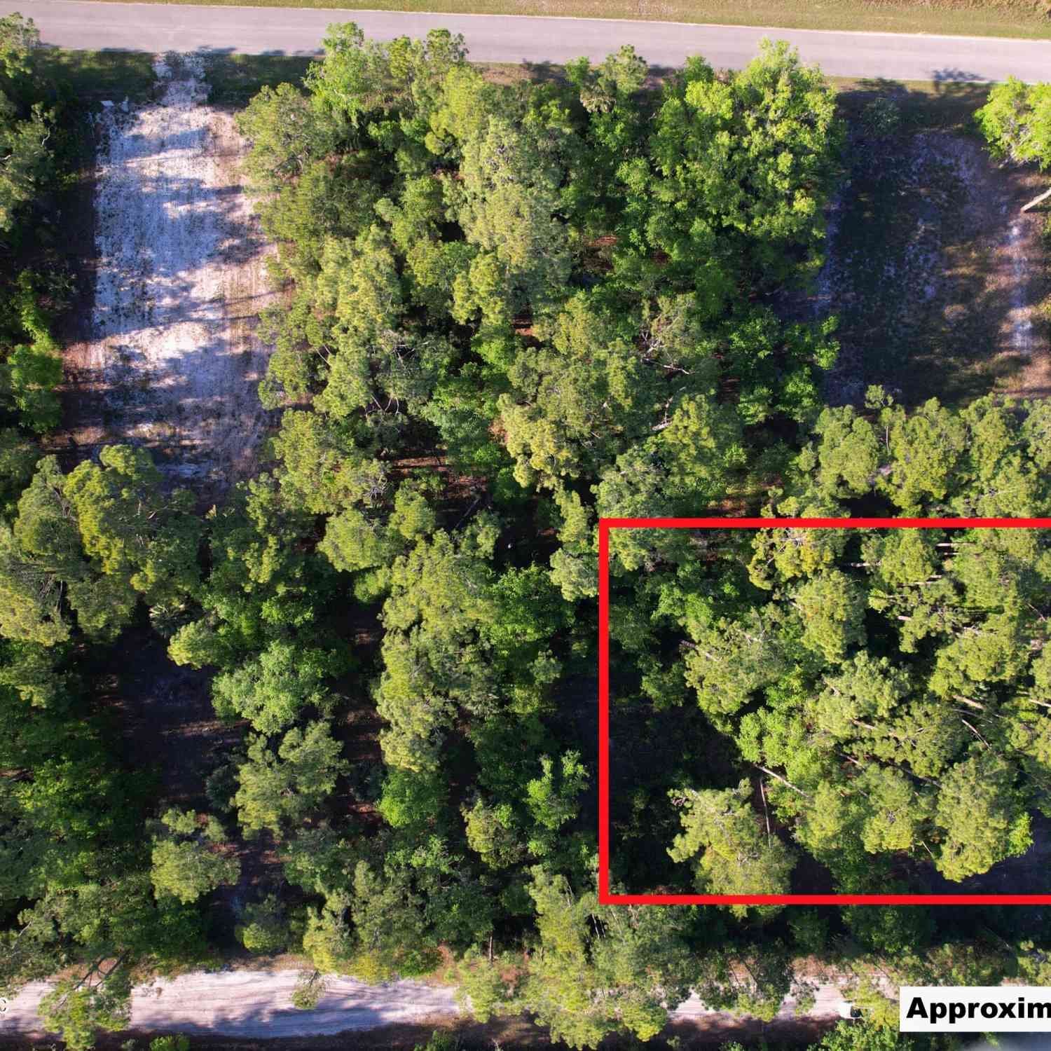 Vacant Land For Sale - 140 Hazel Avenue<br/> Georgetown, FL 32139