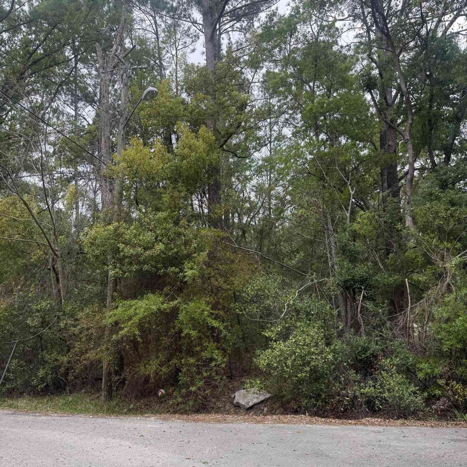 Vacant Land For Sale - TBD Crum<br/> Starke, FL 32091