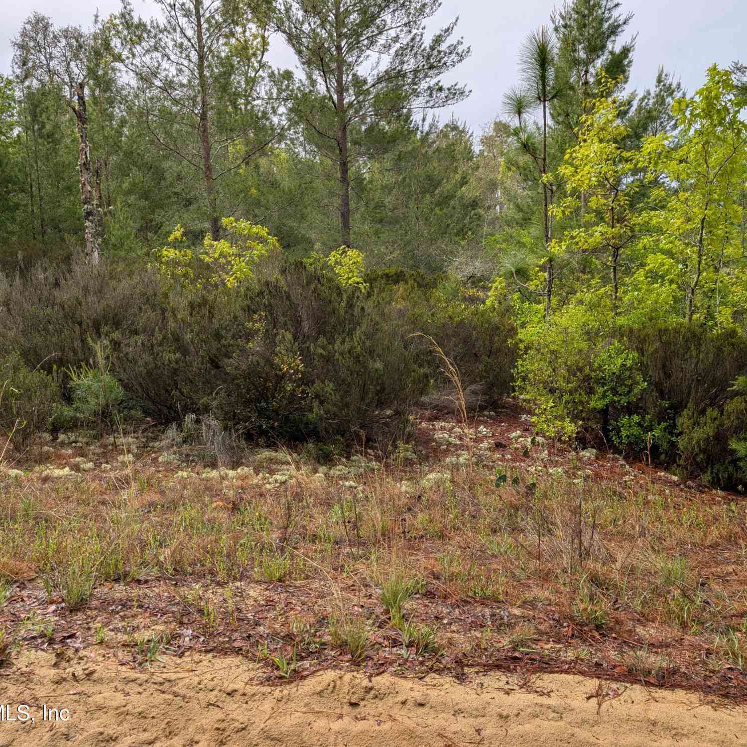 Vacant Land For Sale - LOT 34 SE 10th Street<br/> Interlachen, FL 32148