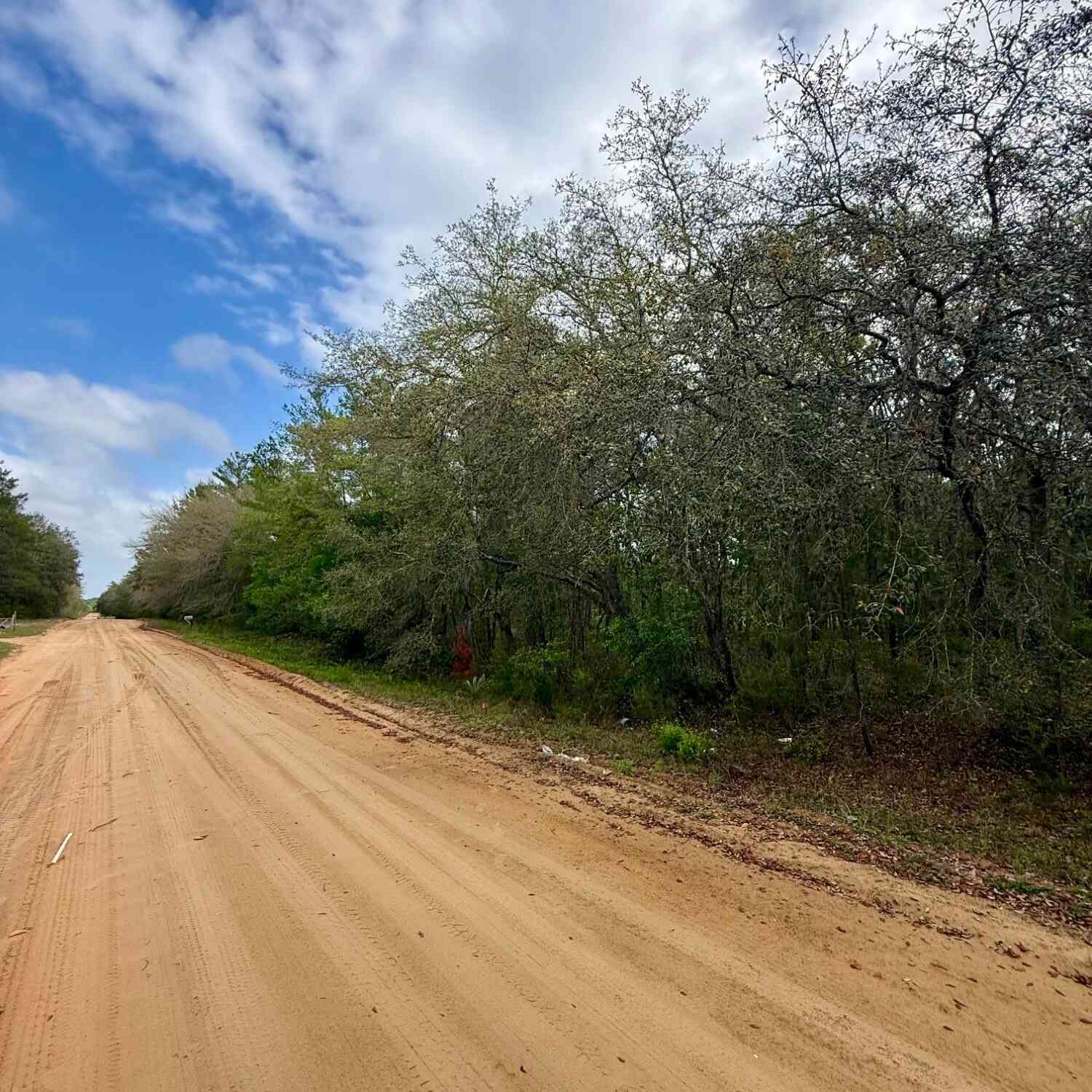 Vacant Land For Sale - XXX Neilsen Avenue<br/> Interlachen, FL 32148