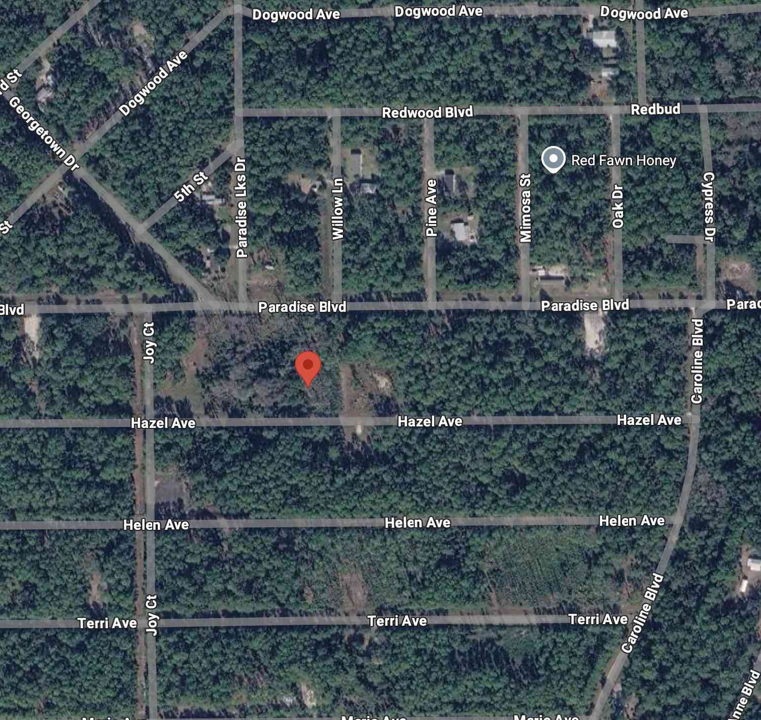 Vacant Land For Sale - 212 Hazel Avenue<br/> Georgetown, FL 32139
