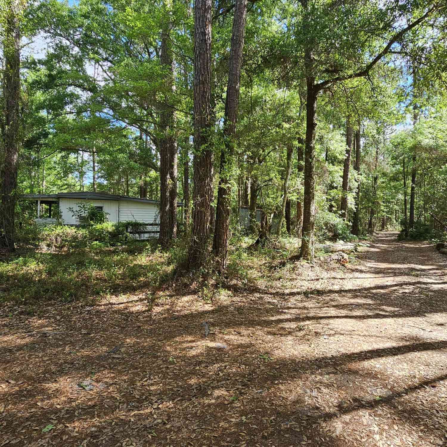Homes For Sale - 6324 Lannie Road<br/> Duval County, Jacksonville, FL 32218