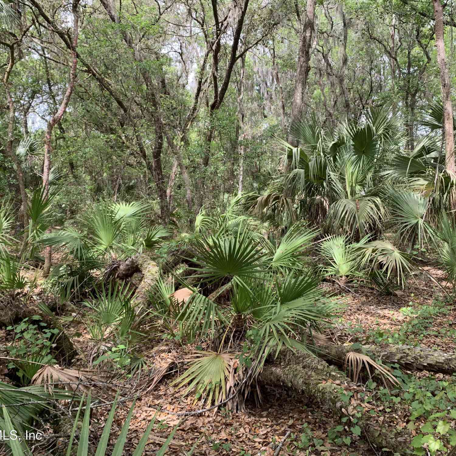 Vacant Land For Sale - 00 Old Woods Road<br/> Interlachen, FL 32148