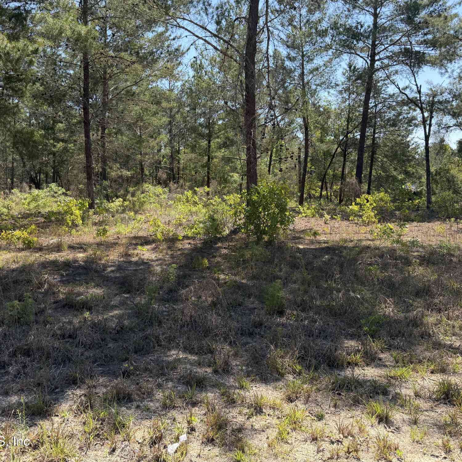 Vacant Land For Sale - 7577 Casa Grande Boulevard<br/> Keystone Heights, FL 32656