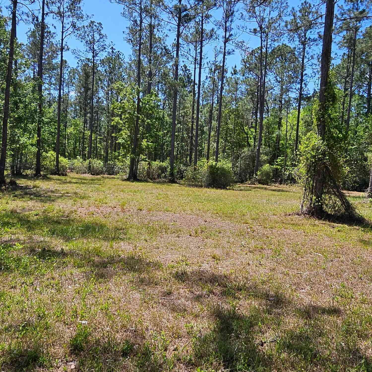 Vacant Land For Sale - 10136 Kings Crossing Drive<br/> Jacksonville, FL 32219