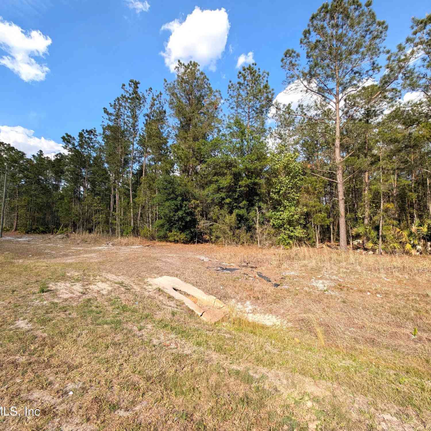 Vacant Land For Sale - NE Us Hwy 301<br/> Waldo, FL 32694
