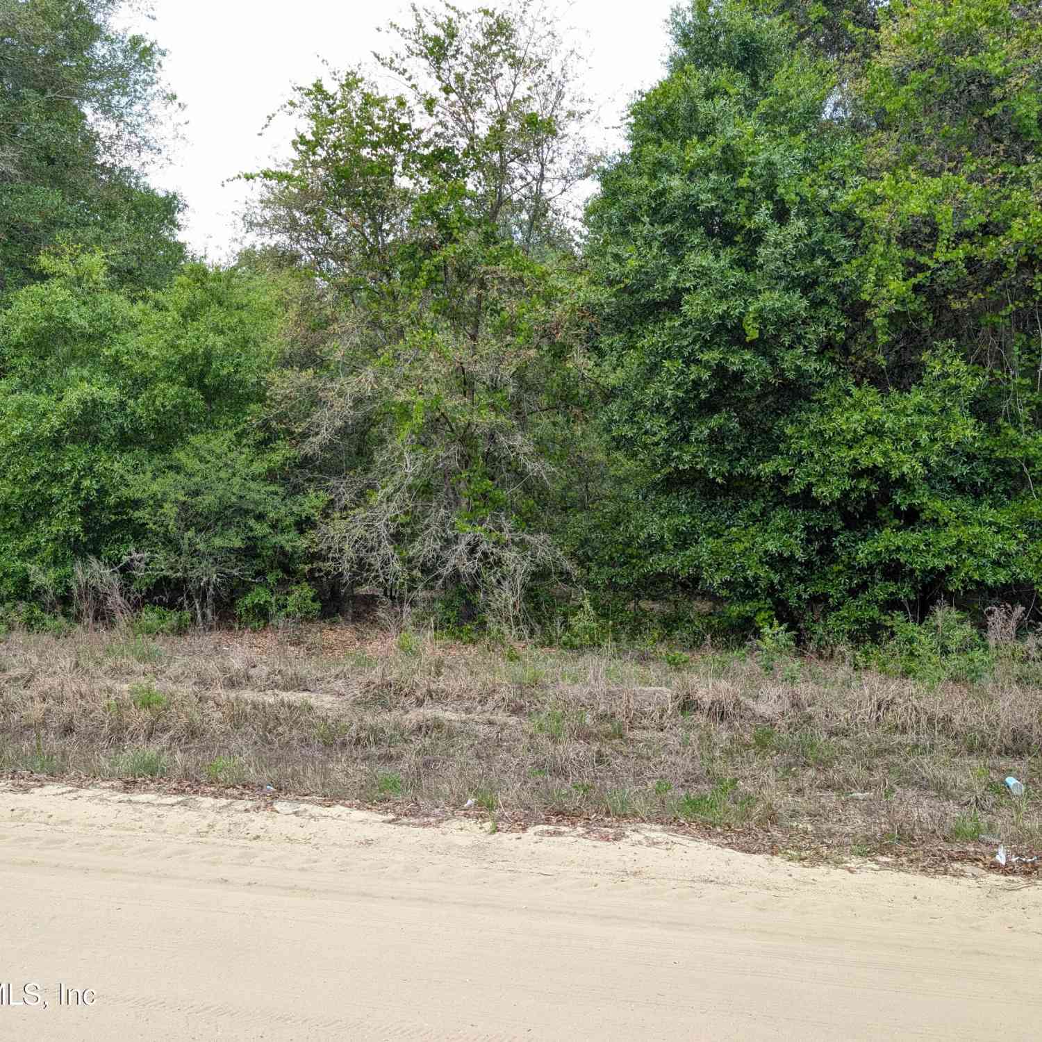 Vacant Land For Sale - 0060 Maltas Avenue<br/> Interlachen, FL 32148