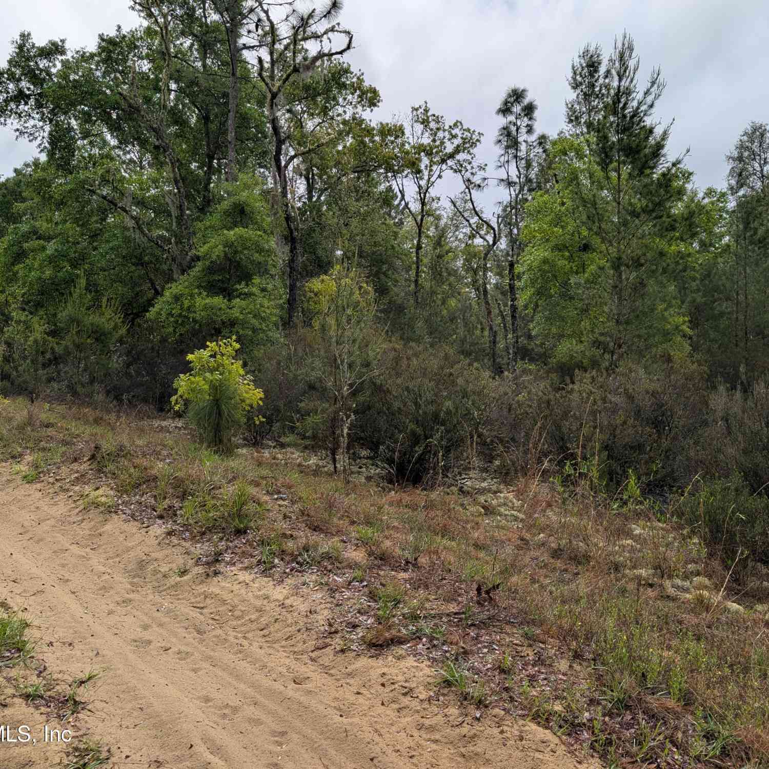 Vacant Land For Sale - LOT 34- 35 Maltas Avenue<br/> Interlachen, FL 32148