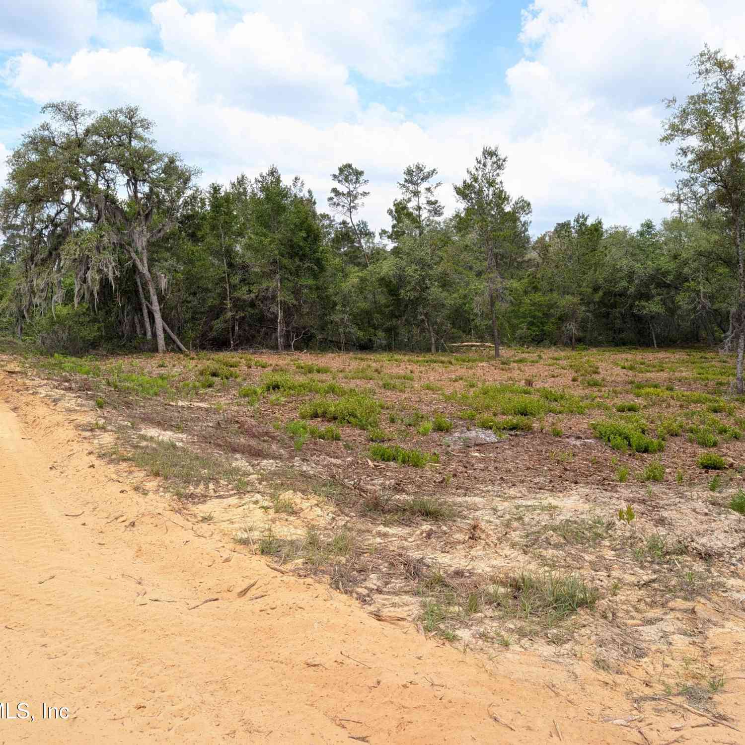 Vacant Land For Sale - LOTS 19-21 Selma Avenue<br/> Interlachen, FL 32148