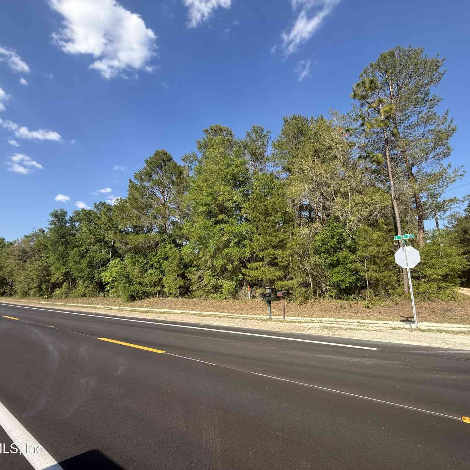 Vacant Land For Sale - XXX S County Road 315<br/> Interlachen, FL 32148