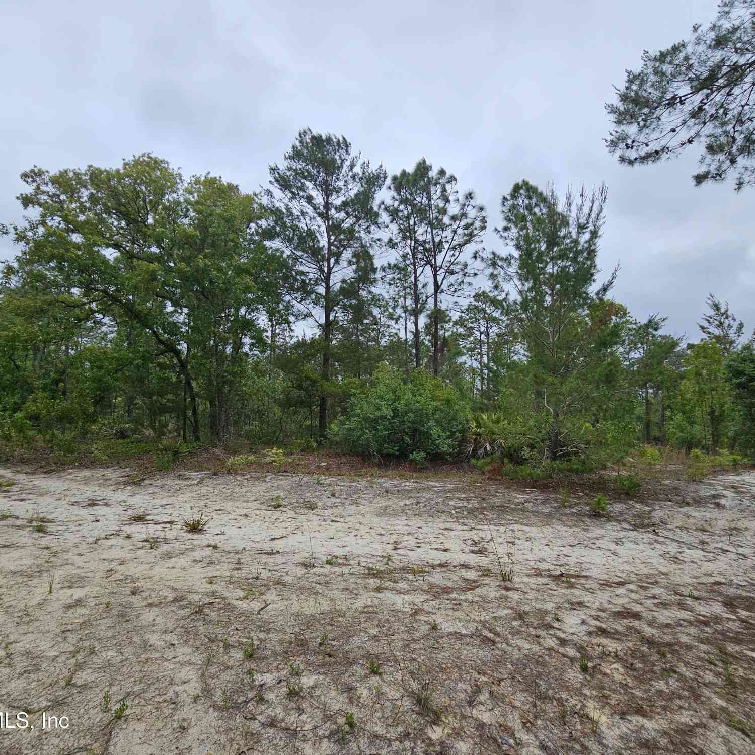 Vacant Land For Sale - 248 Saddleback Trail<br/> Palatka, FL 32177