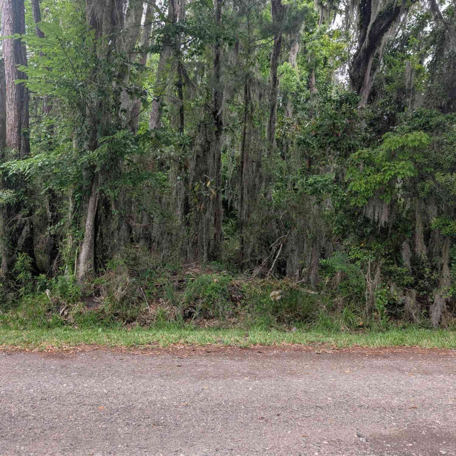 Vacant Land For Sale - Florida Street<br/> Orange Park, FL 32003