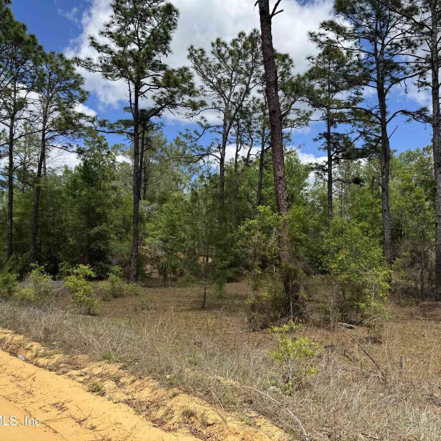 Vacant Land For Sale - 00 Sherman Oaks Dr Circle Circle<br/> Interlachen, FL 32148