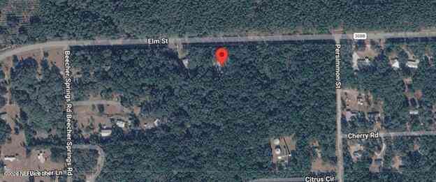 Vacant Land For Sale - 869 County Road 308b<br/> Pomona Park, FL 32181