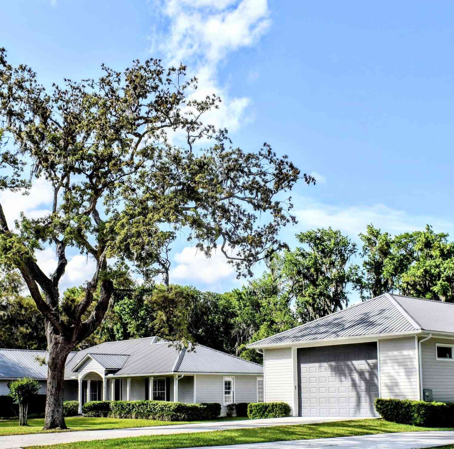 Homes For Sale - 156 & 158 Mount Royal Avenue<br/> Putnam County, Crescent City, FL 32112