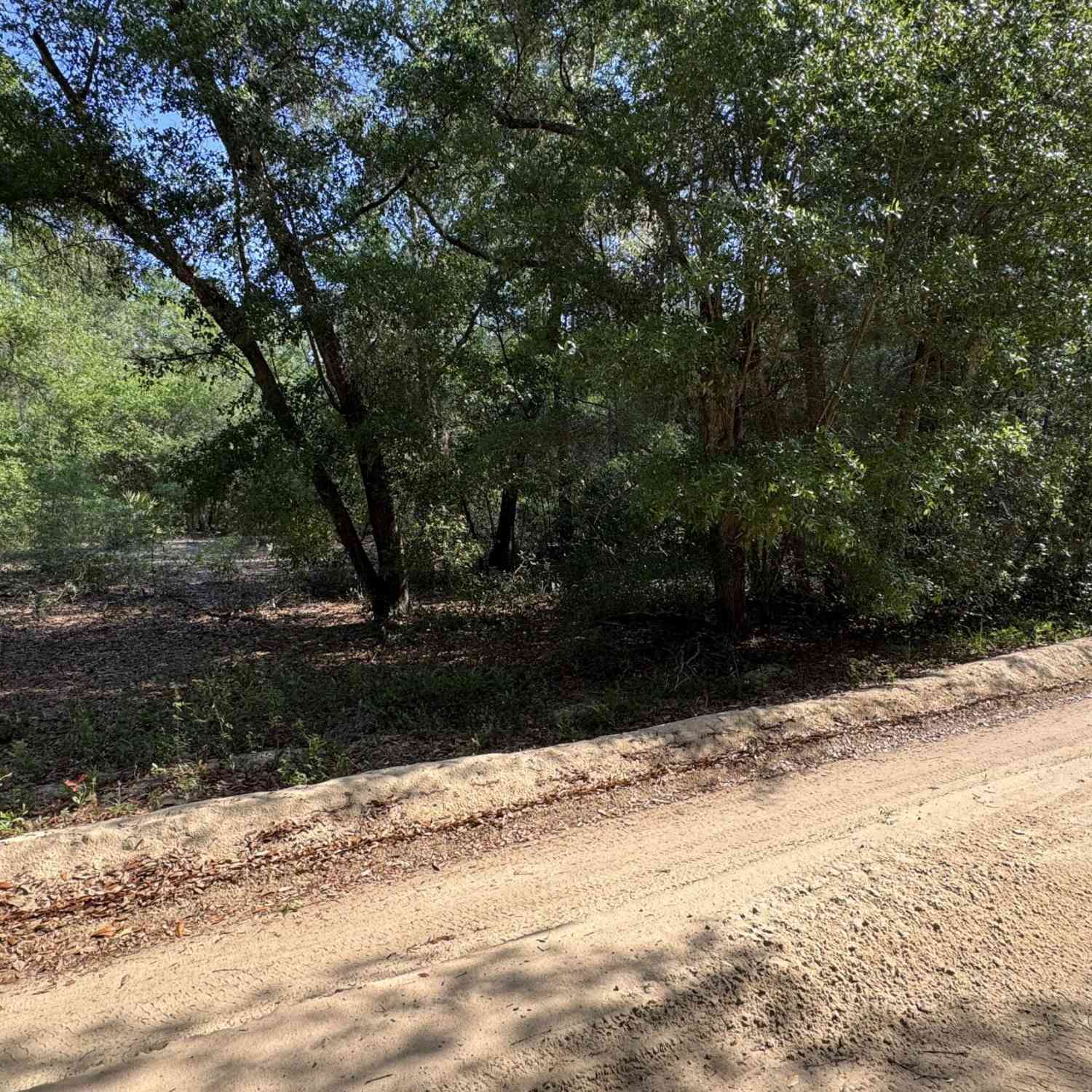 Vacant Land For Sale - 00 Lake Shore Drive<br/> Interlachen, FL 32148