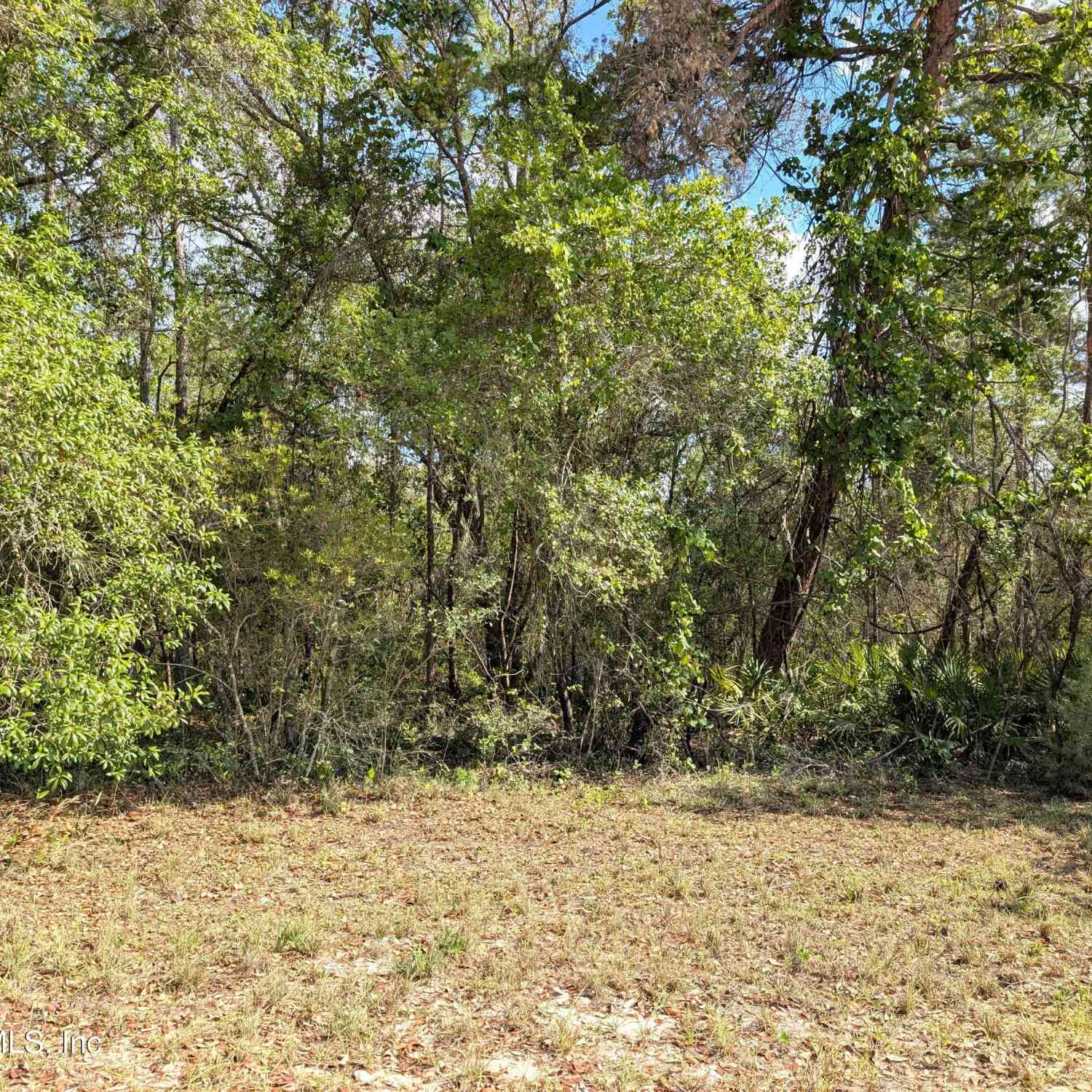 Vacant Land For Sale - 5813 Bryce Street<br/> Keystone Heights, FL 32656