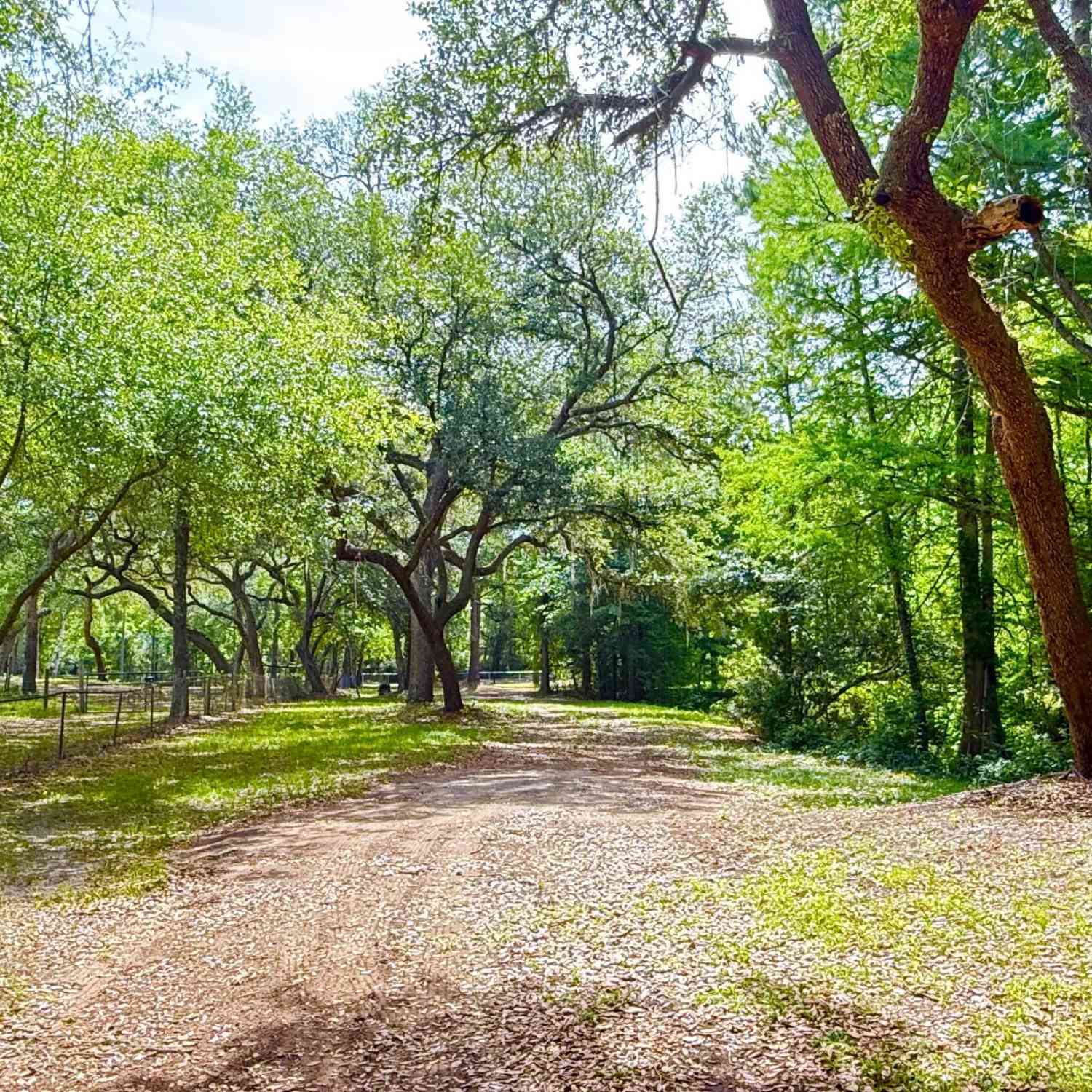 Vacant Land For Sale - 2905 Creek Street<br/> Middleburg, FL 32068