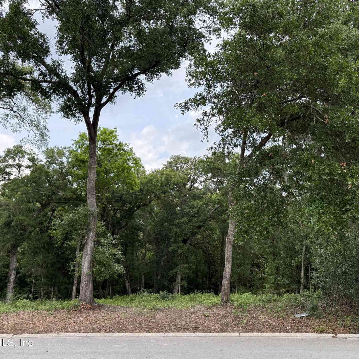 Vacant Land For Sale - 1891 Holly Oaks Ravine Drive<br/> Jacksonville, FL 32225