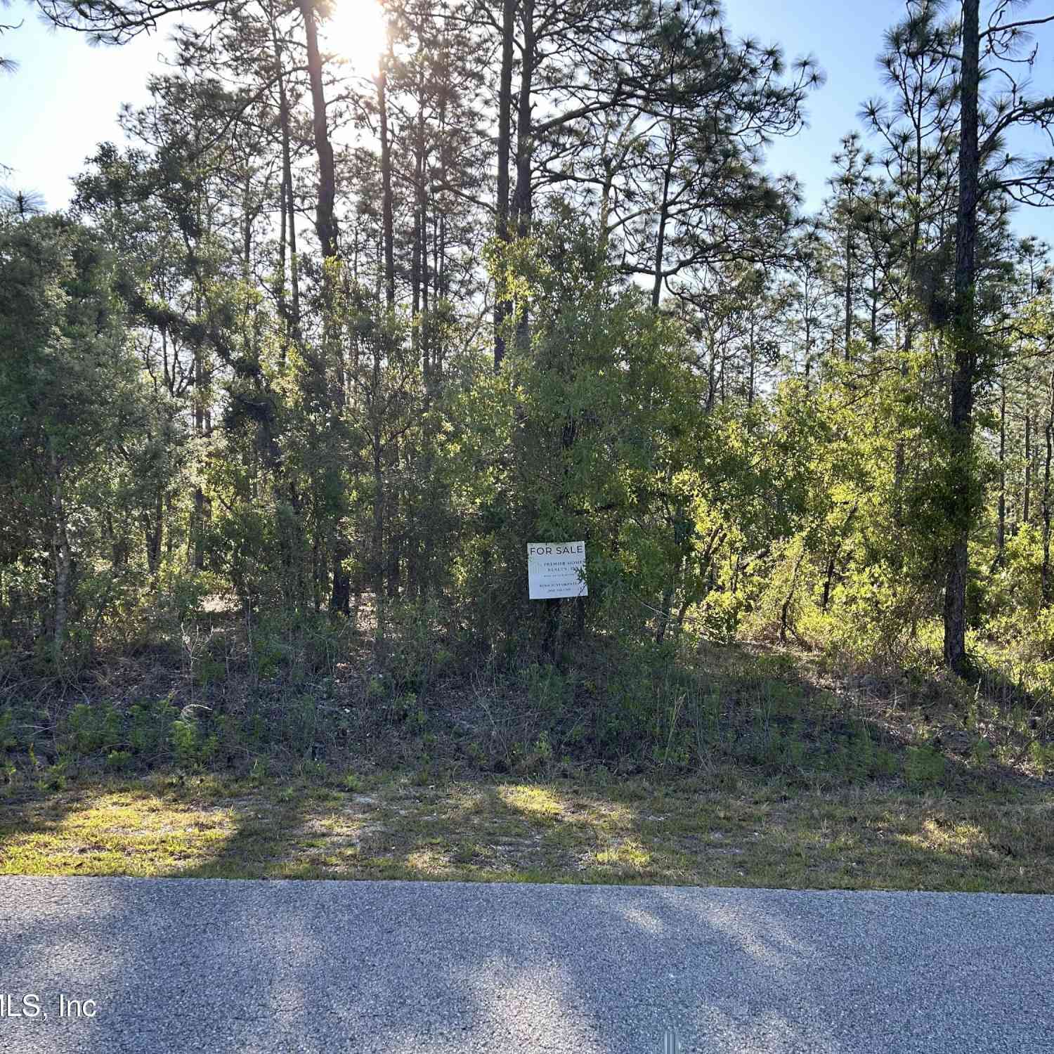 Vacant Land For Sale - LOT 20 SW Buena Vista Road<br/> Dunnellon, FL 34431