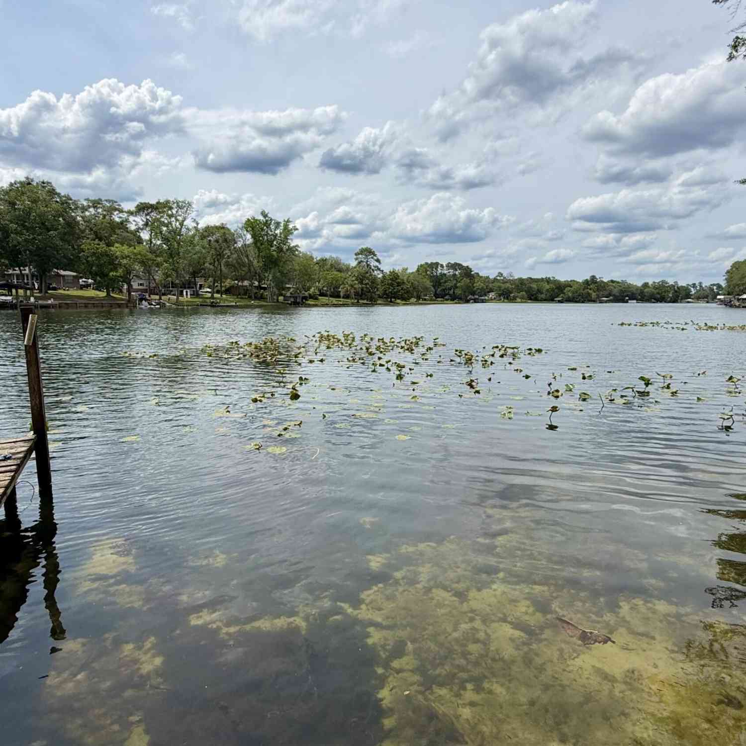 Homes For Sale - 112 Wesley Road<br/> Green Cove Springs, FL 32043