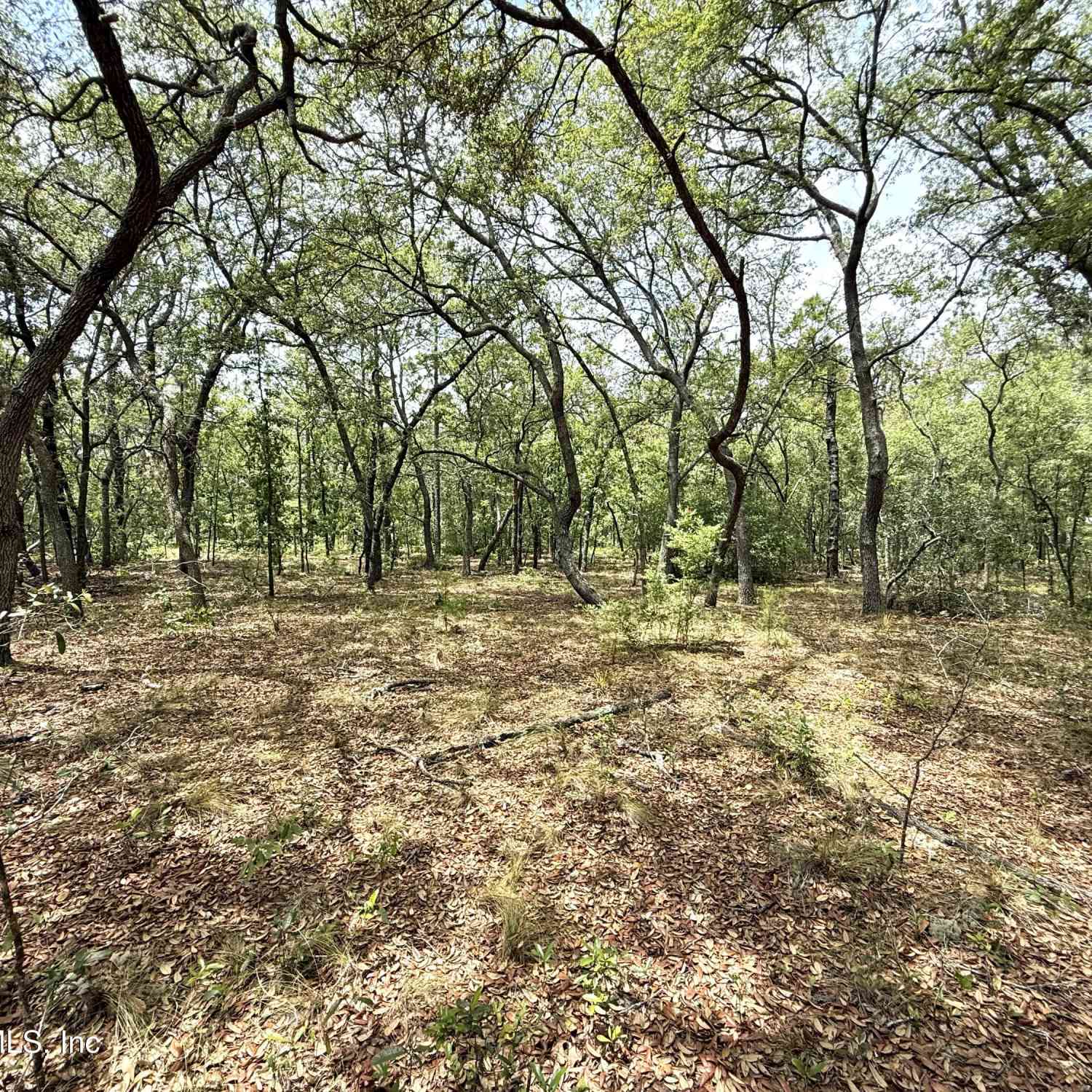 Vacant Land For Sale - 110 Witt Avenue<br/> Putnam County, Hollister, FL 32147