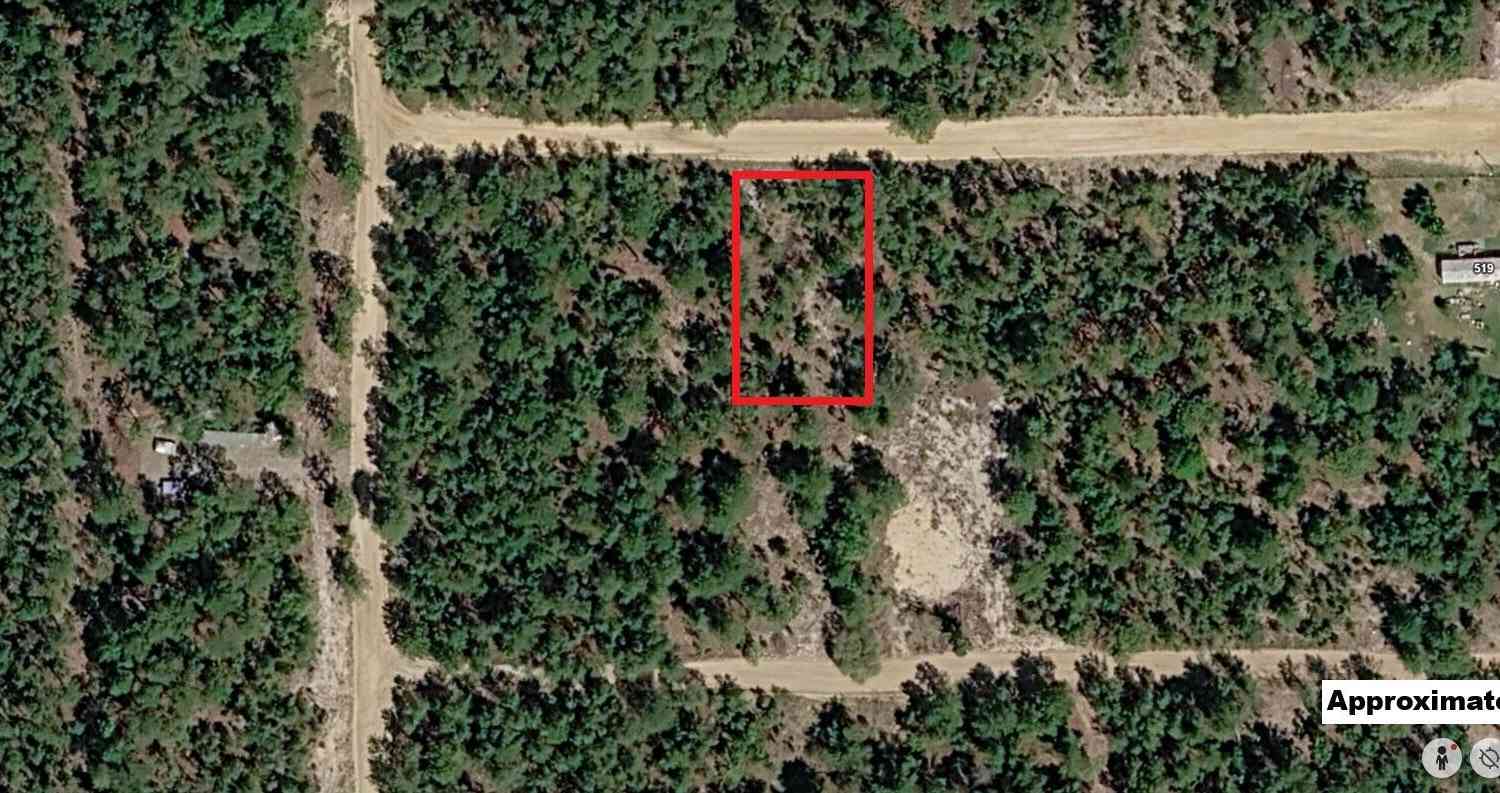 Vacant Land For Sale - 529 Nova Scotia Street<br/> Interlachen, FL 32148