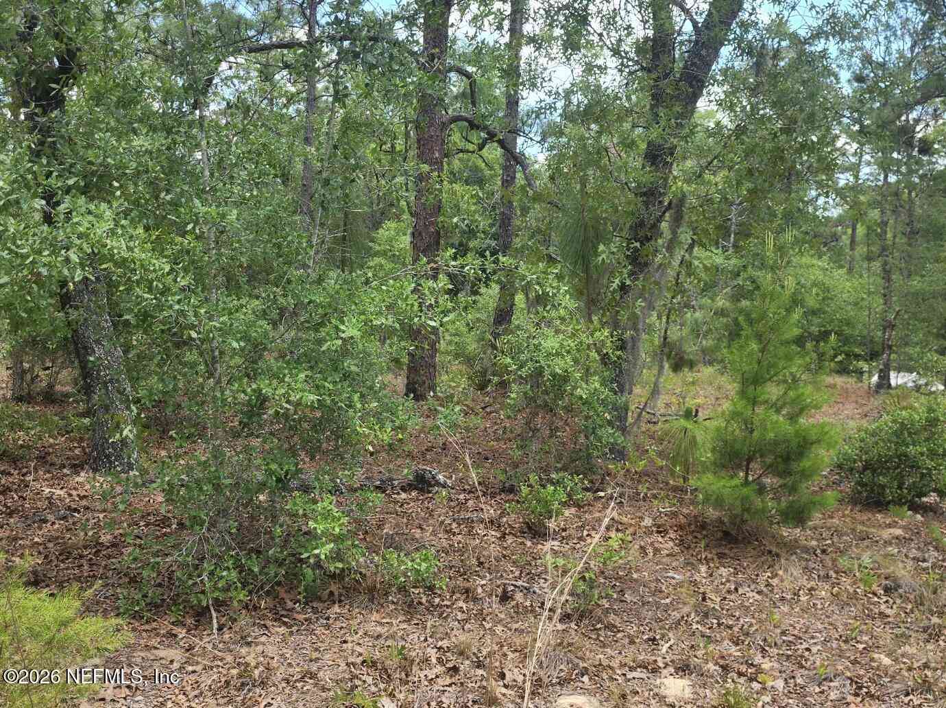 Vacant Land For Sale - 3207 Lich Street<br/> Punta Gorda, FL 33980