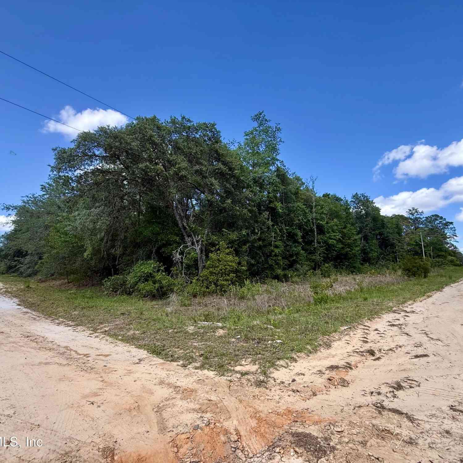 Vacant Land For Sale - 0140 Usina Avenue<br/> Interlachen, FL 32148