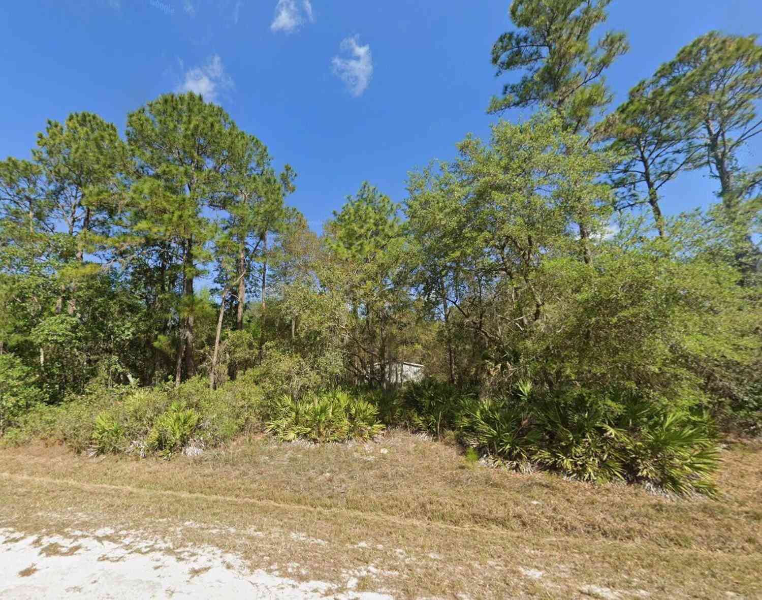 Vacant Land For Sale - 16 Georgetown Point Road<br/> Georgetown, FL 32139