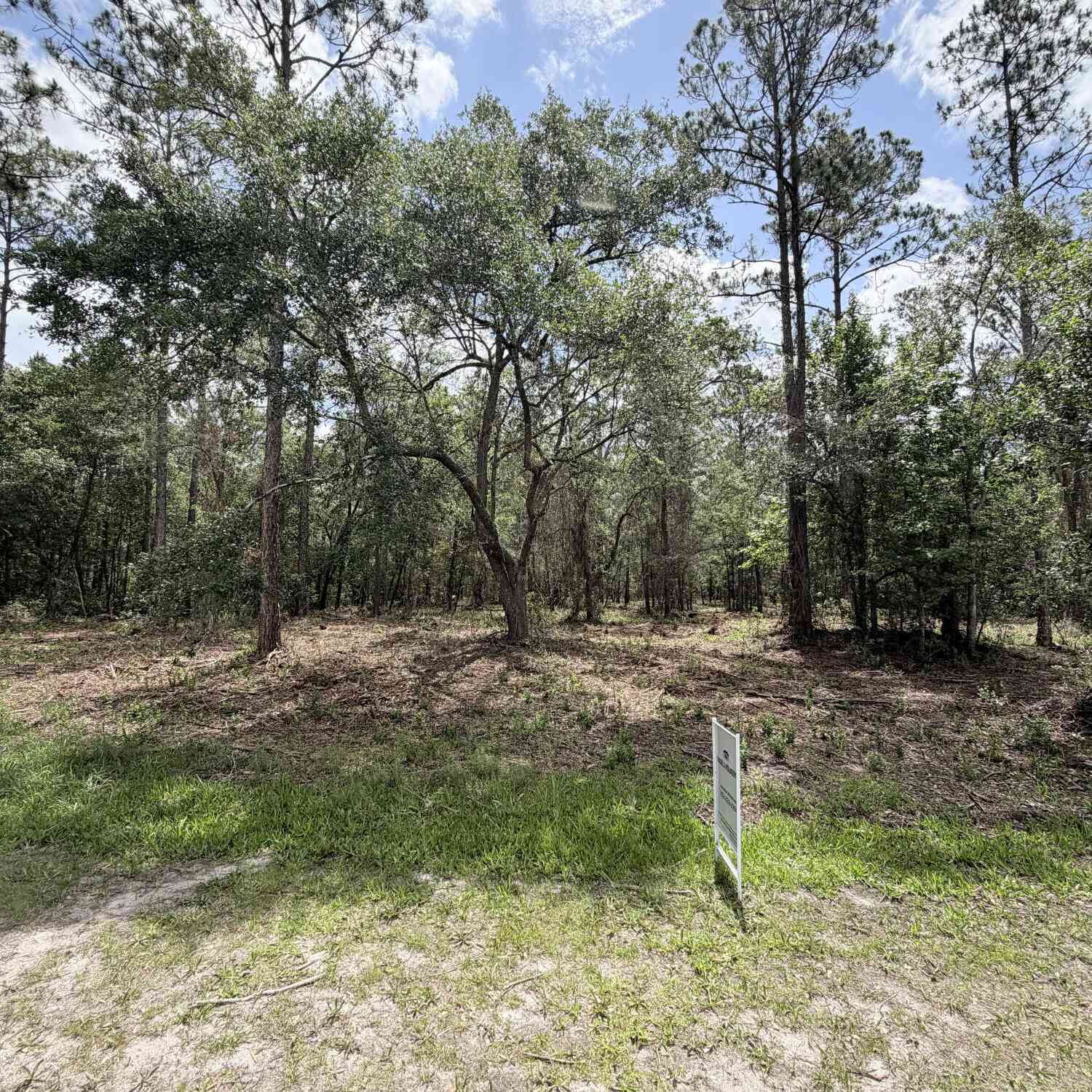 Vacant Land For Sale - 146 Jondabob Road<br/> Palatka, FL 32043