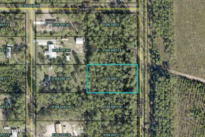 Vacant Land For Sale - 10225 Amos Avenue<br/> Hastings, FL 32145